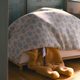 Image for article titled Netflix's Cute Stop-Motion Animation Points Out That Rilakkuma Is Wearing A Kigurumi Onesie